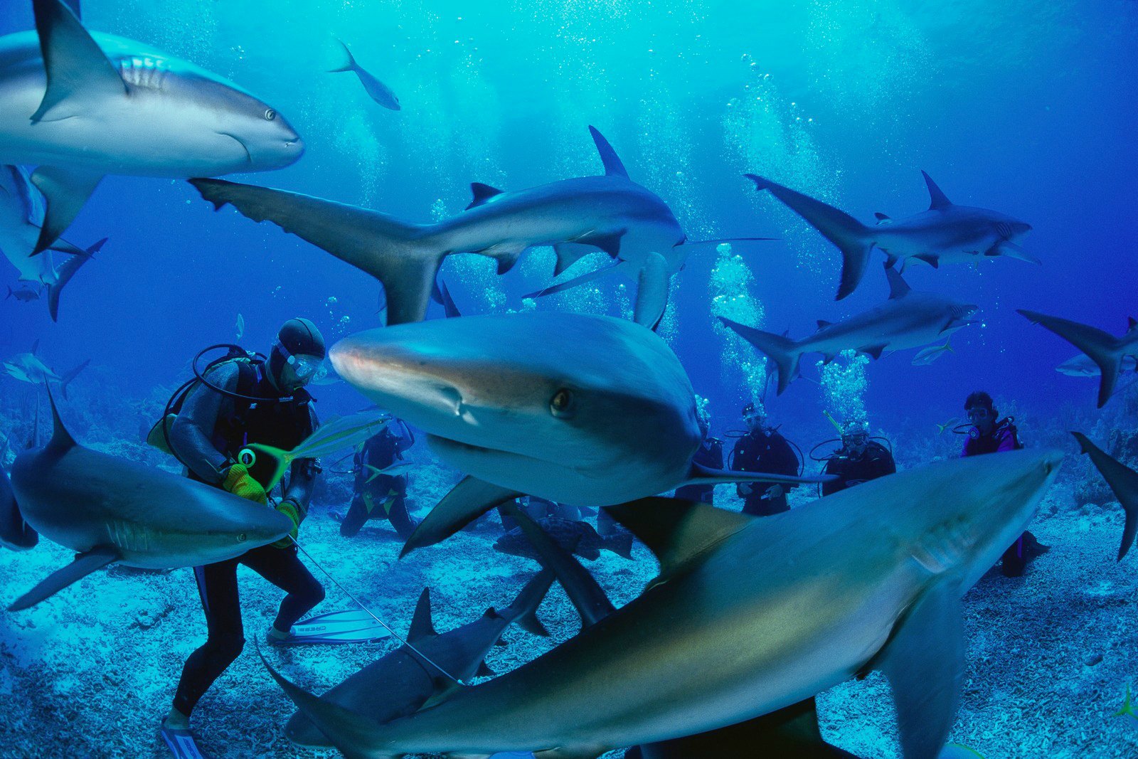 L'ATELIER DE LA MER Soldes Magasin -L'ATELIER DE LA MER Soldes Magasin 981517 10151648075854711 1766682822 o